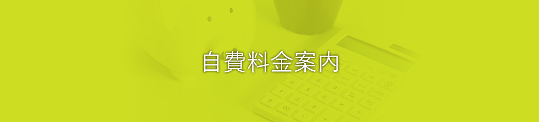 自費料金案内