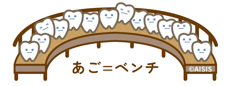 歯のベンチ