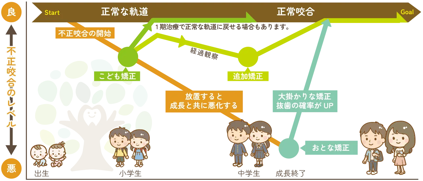 矯正治療の進め方