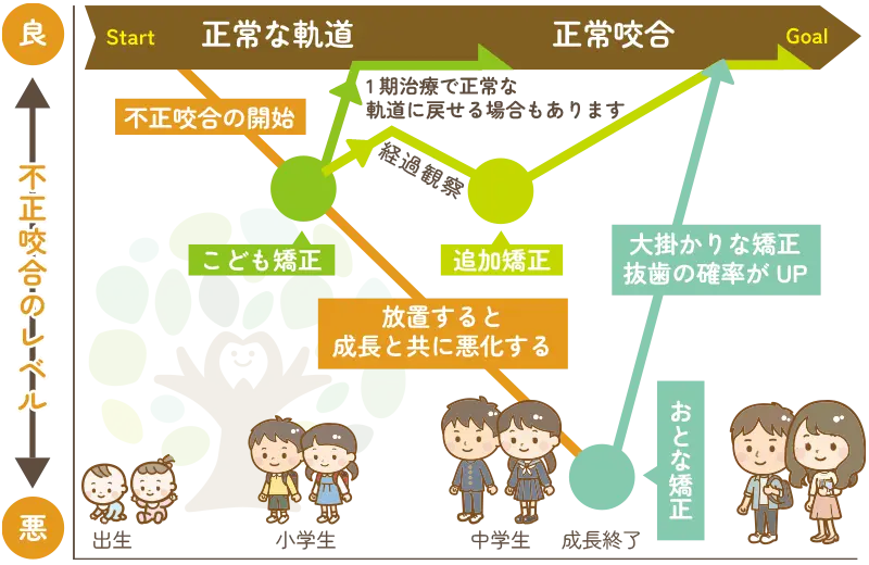 矯正治療の進め方